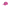 flat-lay-image Potent Purple